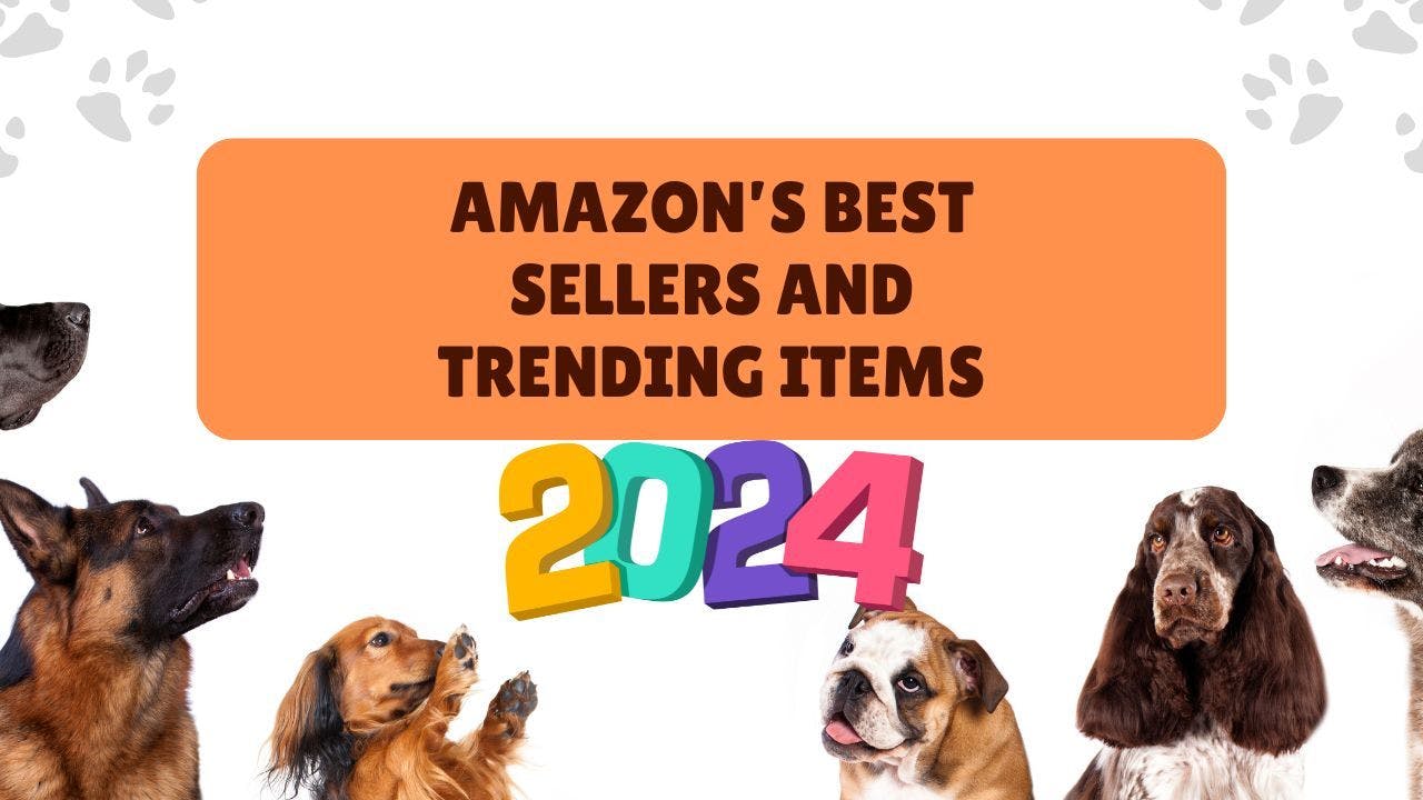 Amazon’s Best Sellers and Trending Items.jpg